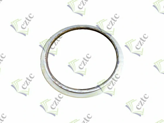 Schwing Concrete Pump Parts BACK UP RING DN 220