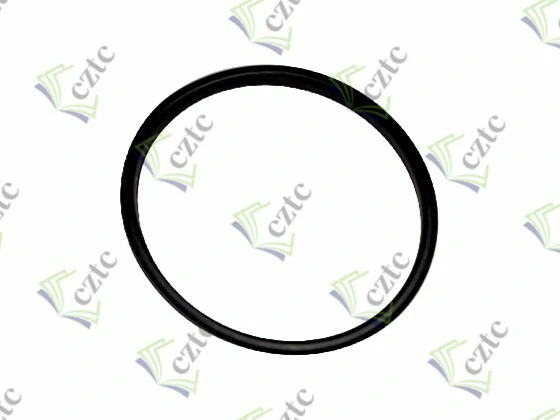 Schwing Concrete Pump Parts D SEAL DN 180