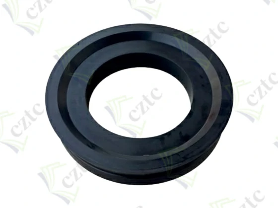 DELIVERY PISTON SEAL Q250
