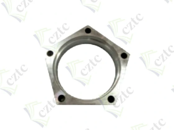 FLANGE DN 230