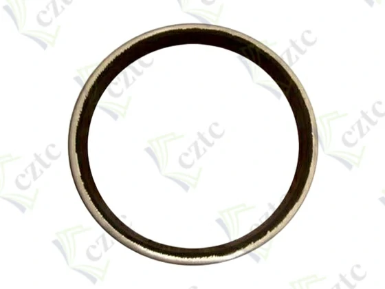 GASKET