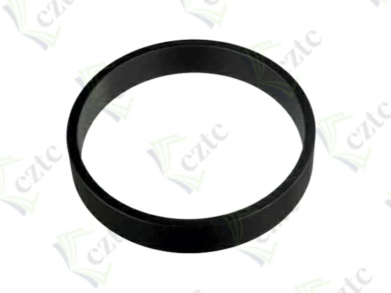 Putzmeister Concrete Pump Part GUIDE RING Q200