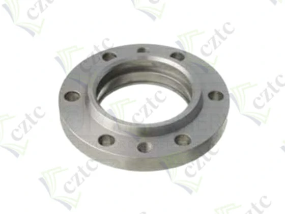 HEAD FLANGE