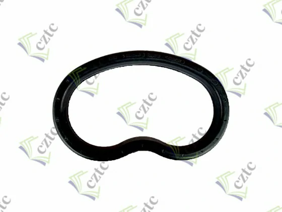 Schwing Concrete Pump Parts KIDNEY SEAL DN 135