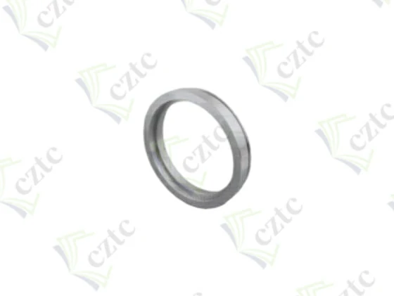 LEADING RING DN 180