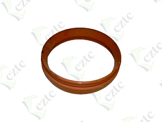LEADING RING DN 200