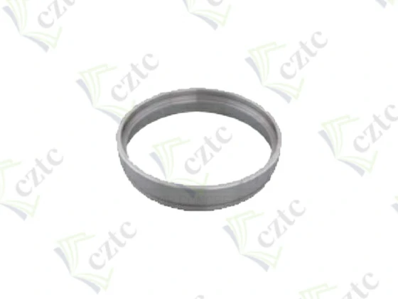 LEADING RING DN 250