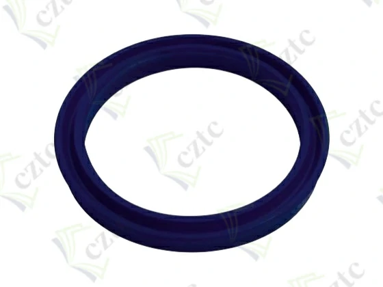 LIP SEAL RING