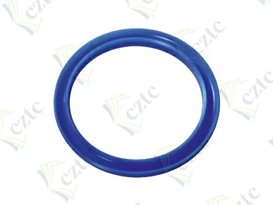 LIP SEAL RING