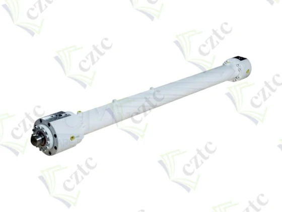 MAIN HYDRAULIC CYLINDER 125/80