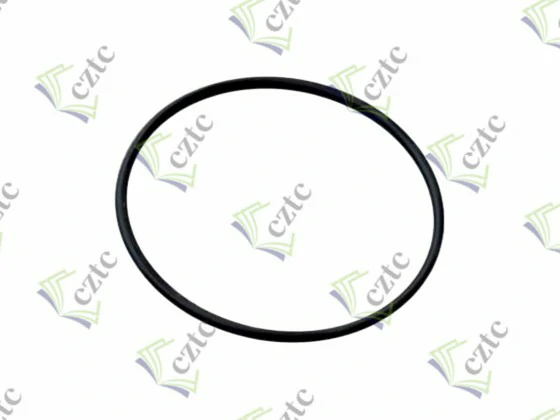 Putzmeister Concrete Pump Part O RING 170,81*7