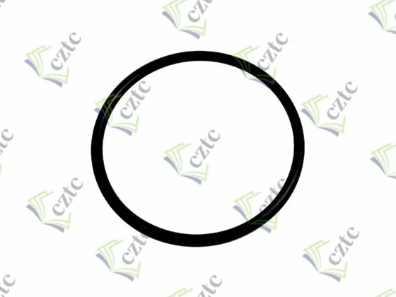 O RING 60*4