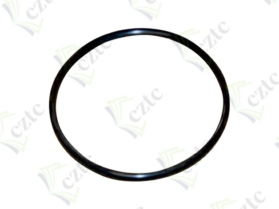 O RING FOR OUTLET ELBOW