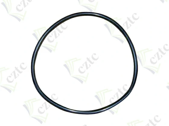 O RING FOR OUTLET ELBOW