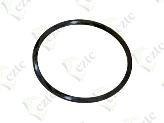 O RING FOR SEALING COVER