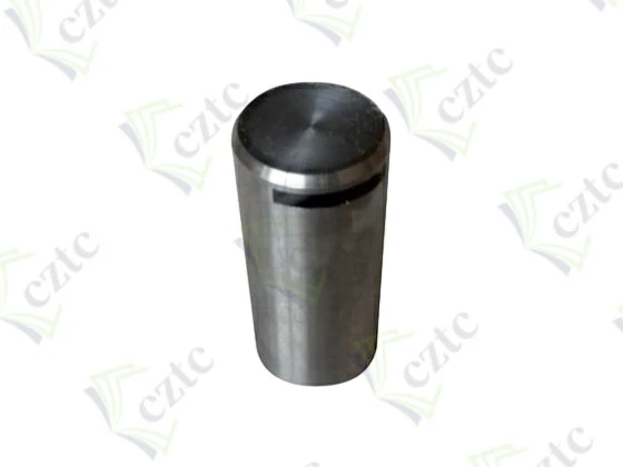 PIN