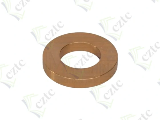 Schwing Concrete Pump Parts PISTON DISC