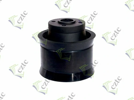 PISTON RAM DN 200