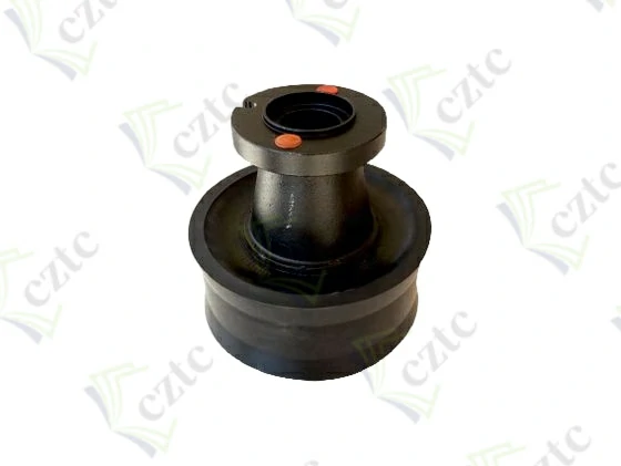 PISTON RAM DN 250