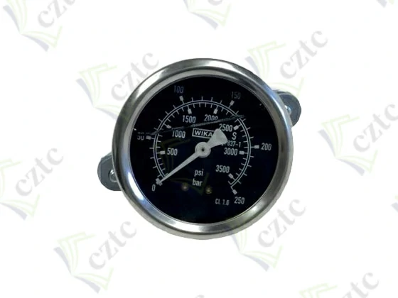PRESSURE GAUGE 250 BAR