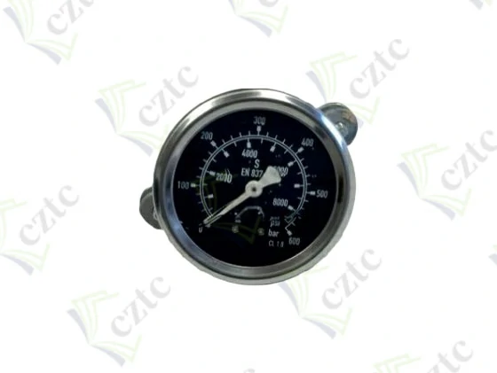 PRESSURE GAUGE 600 BAR