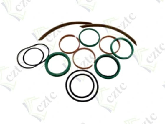 REPAIR KIT FOR DIFFERENTIAL CYLINDER Q125/80x2000