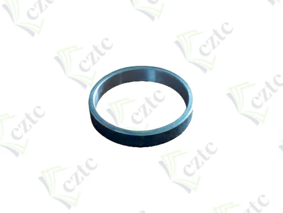 Schwing Concrete Pump Parts RING