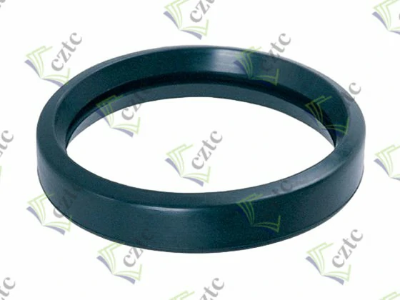 RUBBER SEAL 5.5