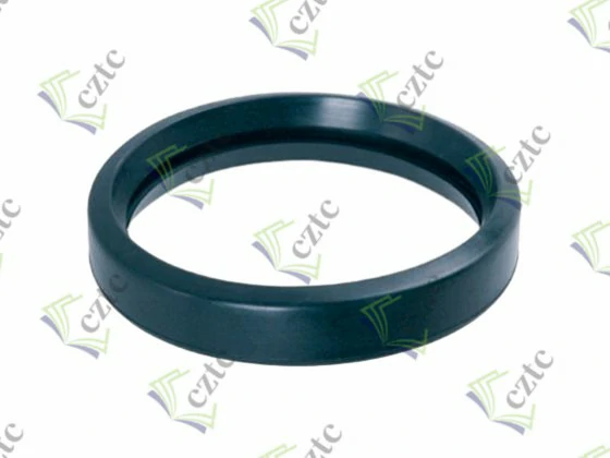 RUBBER SEAL 5