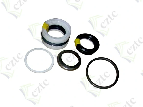 Putzmeister Concrete Pump Part SEAL SET
