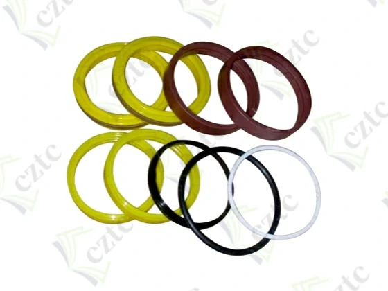 Putzmeister Concrete Pump Part SEAL SET