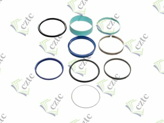 SEAL SET FOR PLUNGER CYLINDER Q160-40
