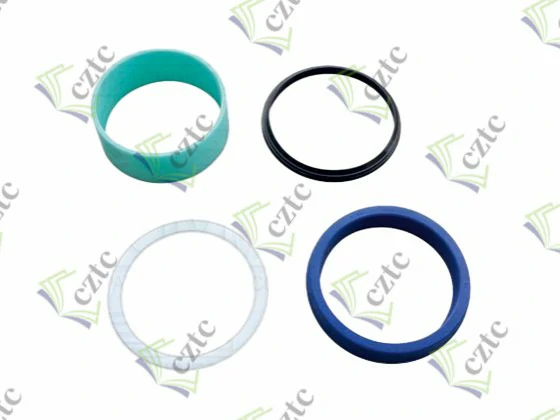 SEAL SET FOR PLUNGER CYLINDER Q160-60 SINGLE HOLE