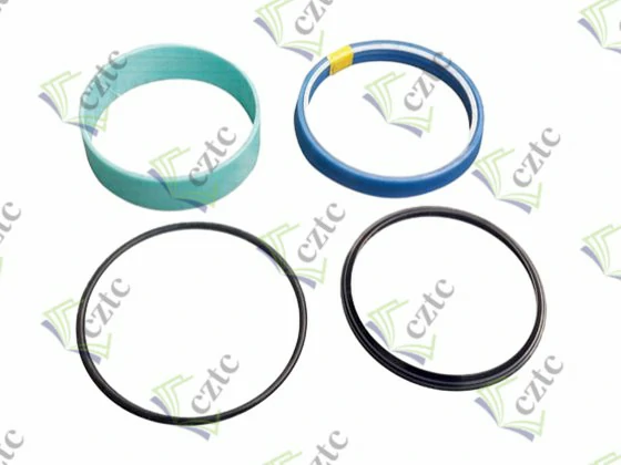 SEAL SET FOR PLUNGER CYLINDER Q160-80