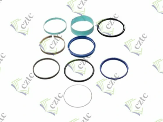 SEAL SET FOR PLUNGER CYLINDER Q200-80