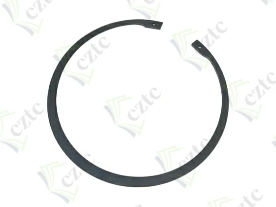 SEEGER RING
