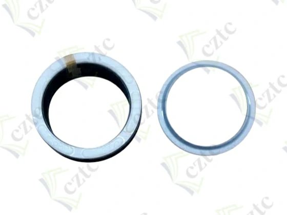 SET OF GASKETS
