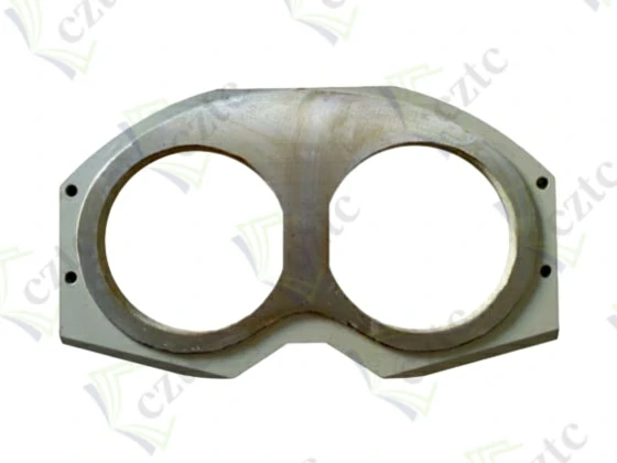 SPECTACLE WEAR PLATE