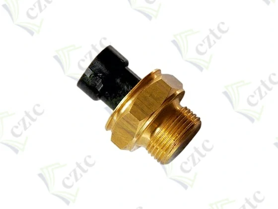 TEMPERATURE SWITCH